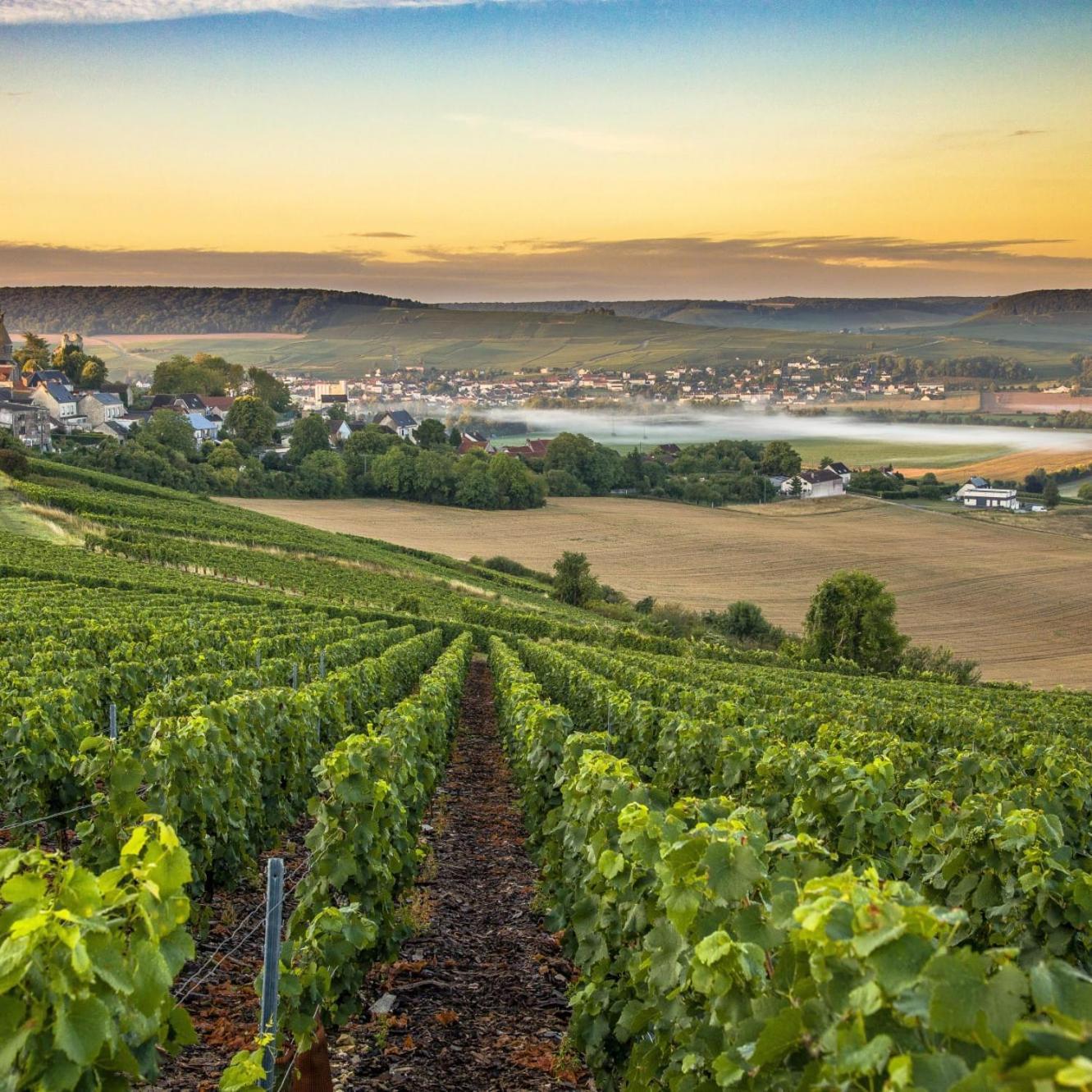 Les Bulles De Bonheur - Au Coeur Du Vignoble Champenois Apartman Chouilly Kültér fotó